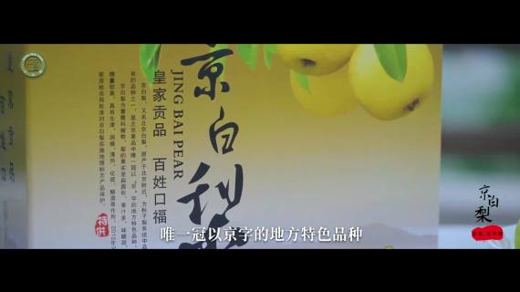 京白梨宣传片