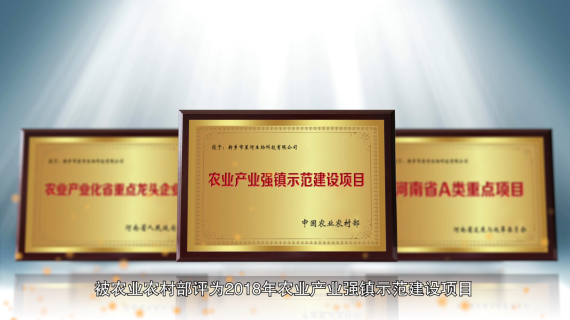 企业宣传片