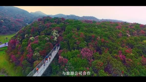 乡村振兴 品牌建设 公益行