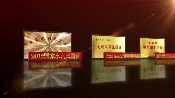 荣誉02