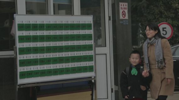 金杨一天