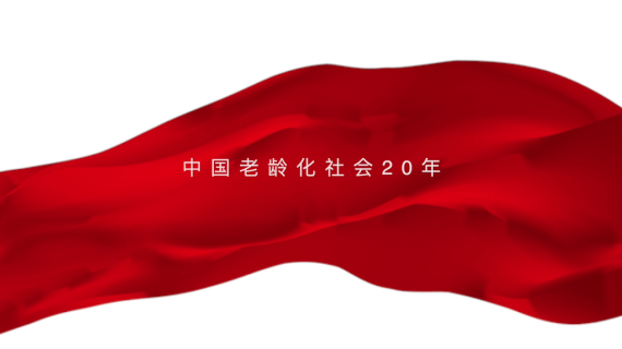 《中国老龄化社会20年》-成就·挑战与展