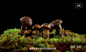 《释怀》产品纪录片
