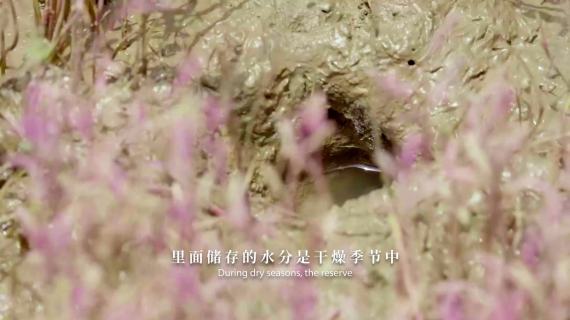 央视纪录片《美丽中国》-红色乐园