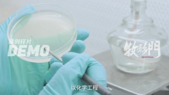 北极宫茯茶中文版本