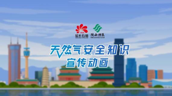 二维mg动画科普动画天然气安全知识宣传