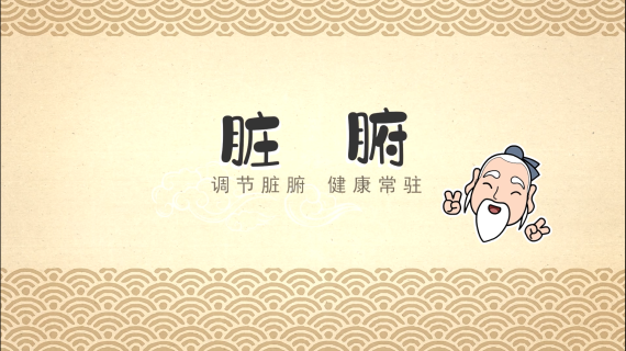 MG动画 — 秒懂中医系列之 脏腑