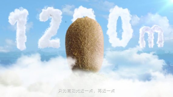 京东农特产丰收节-高小猕