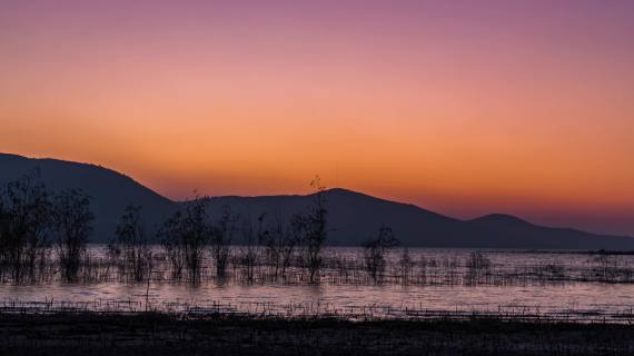 丹江口水库夕阳 带前景
