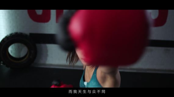 金象地板