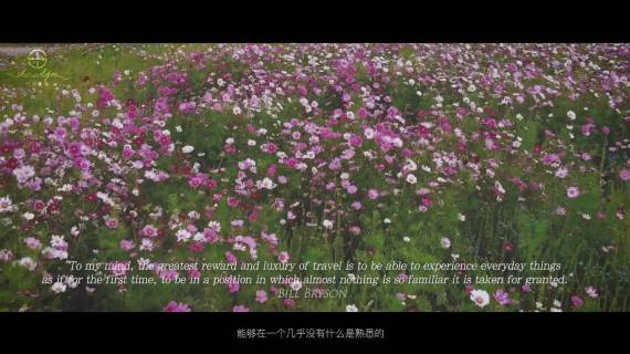 稻城亚丁旅拍航拍合集