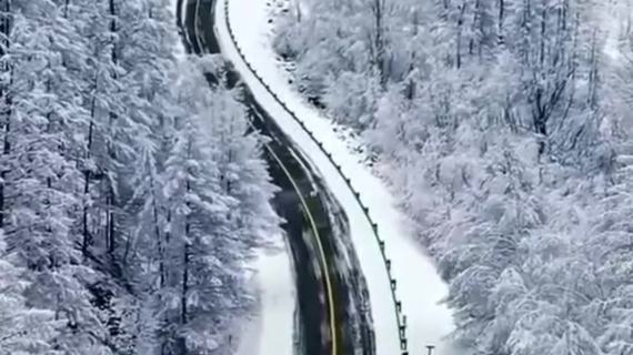 皑皑白雪