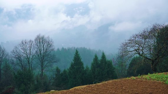 农村山间早晨雾延时