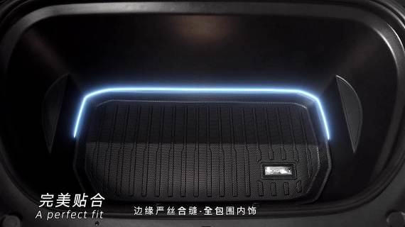 特斯拉脚垫拍摄