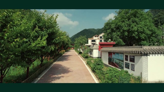 电影开场