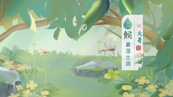 【手绘动画】节气海报动画-大暑