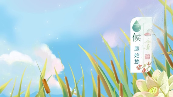 【手绘动画 】节气海报动画 -小暑