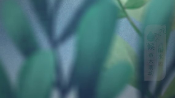 【手绘动画】节气海报动画-雨水