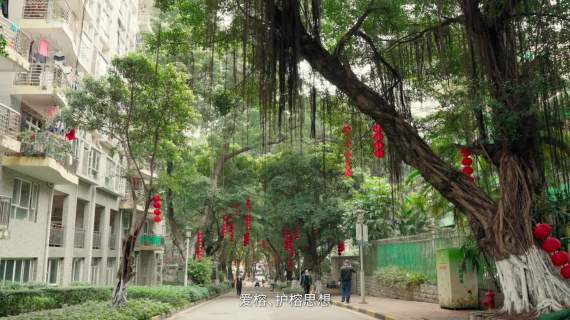 沙园街道-经济高质量发展宣传片