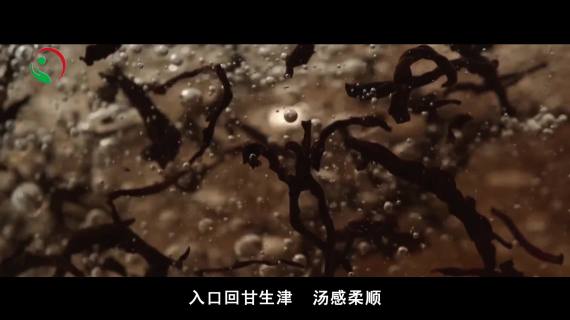 吴觉农茶业生肖普洱茶《喜庆虎》产品片