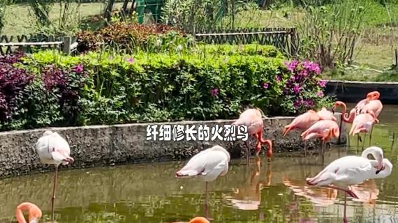 宣传
