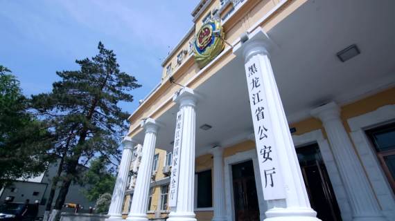 与生俱来金盾风采