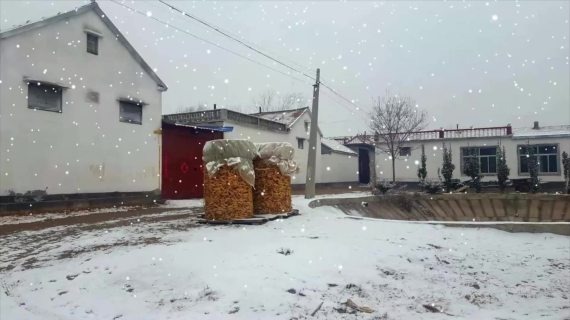 下雪特效
