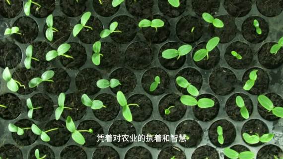 企业宣传片