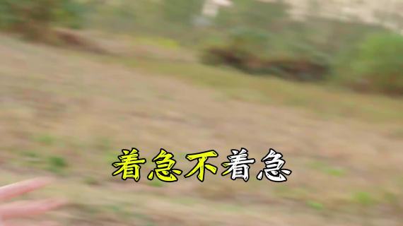 天气app