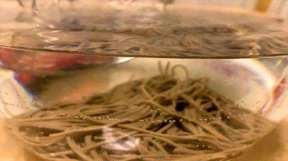 美食短视频凉拌荞麦面