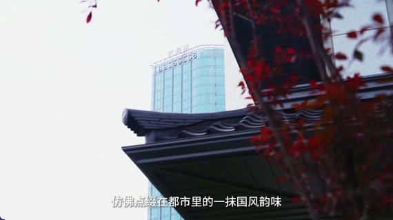 滨耀城 有字幕