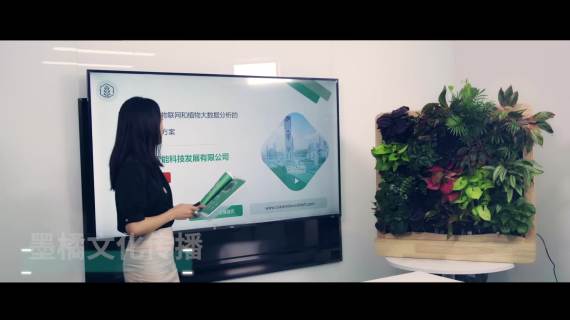 岸杉科技宣传片