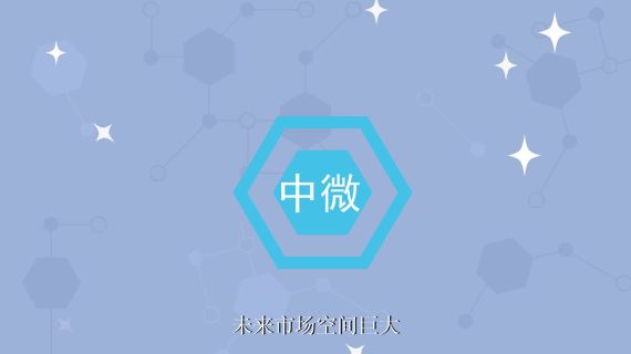 中微动画成片