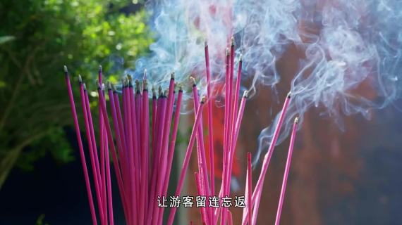 情系江东，梦萦寻乌——寻乌县宣传片