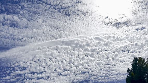 天空纯原
