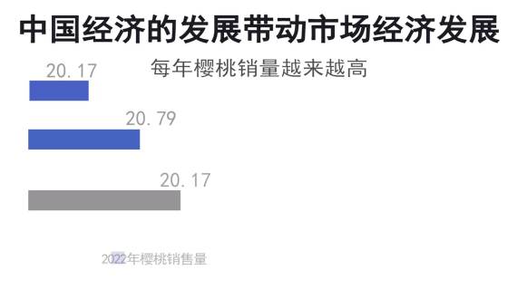 樱桃宣传片