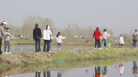 小龙虾
