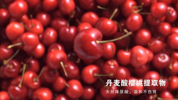 尿酸片