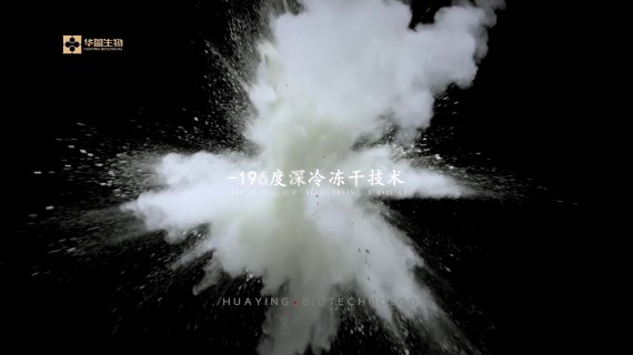 美妆企业电商产品介绍宣传