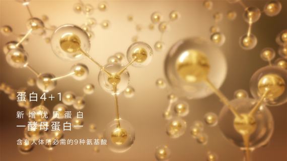 升级蛋白棒4