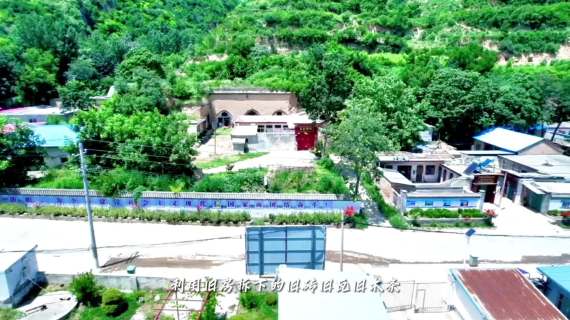 2023年乡村旅游-柳林桃李唱响乡村