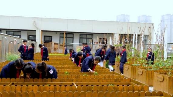 教育局满意度调查宣传视频