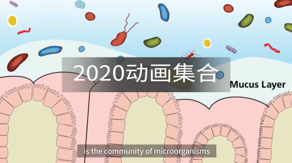 2020年个人动画Demo