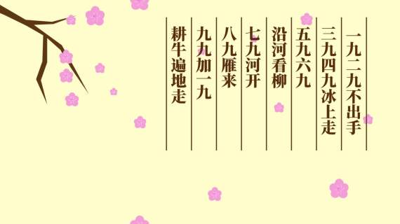 冬至MG动画