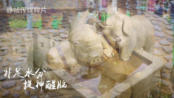 生活短片 博物馆创意短片
