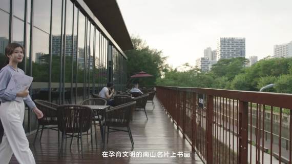 西丽湖-立