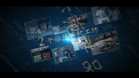 茶叶类 创业 文旅宣传片  农产品