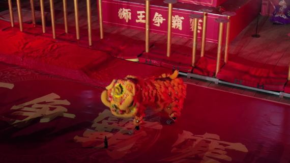 窑湾狮王争霸赛