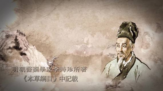 水墨风格人参功效动画包装