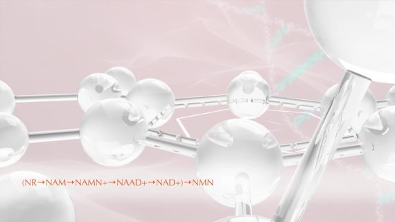 [TVC]逆美诺NMN逆龄产品
